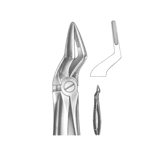 Extracting Forceps English pattern 