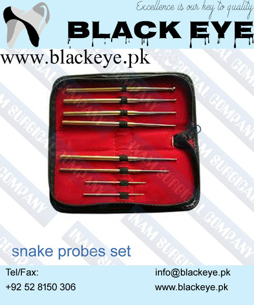 Snake probes